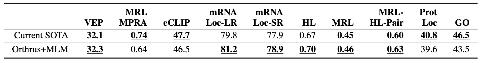 Orthrus+MLM Results